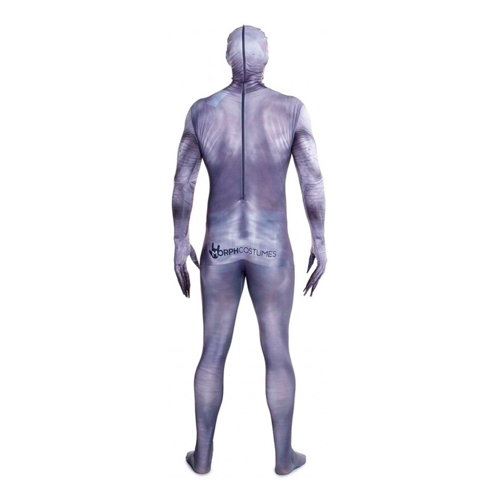 The Rake Morphsuit Karnevalskostume Partyking. dk