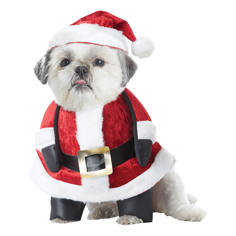 Maskeradkläder Vuxna - Jultomte Hund - Small Maskeradkläder Vuxna - Jultomte Hund - Small